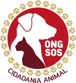 imagem_2025-12-04_224817089